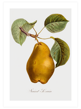 Armut - Art Print